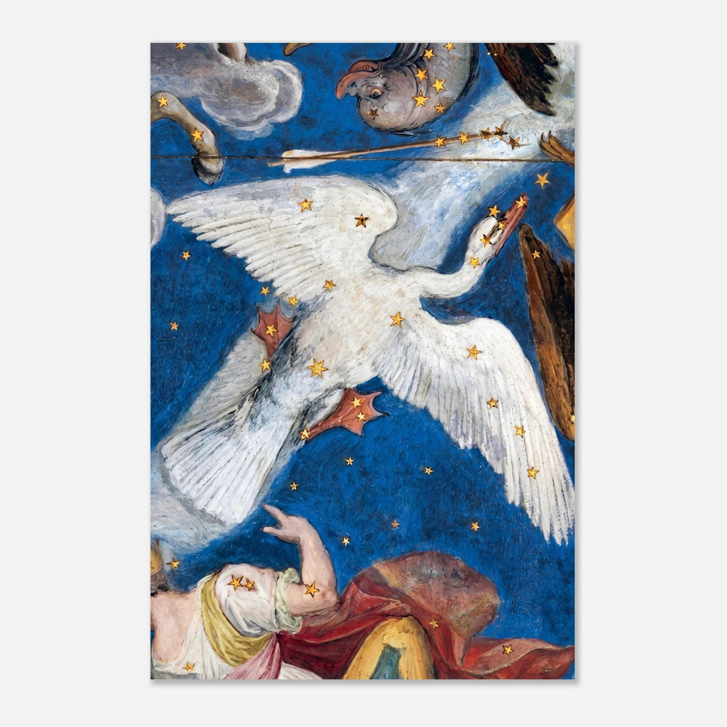 Vintage Celestial Cygnus Constellation Print Renaissance Fresco Star Chart Wall Art Antique Swan Painting Dark Academia & Moody