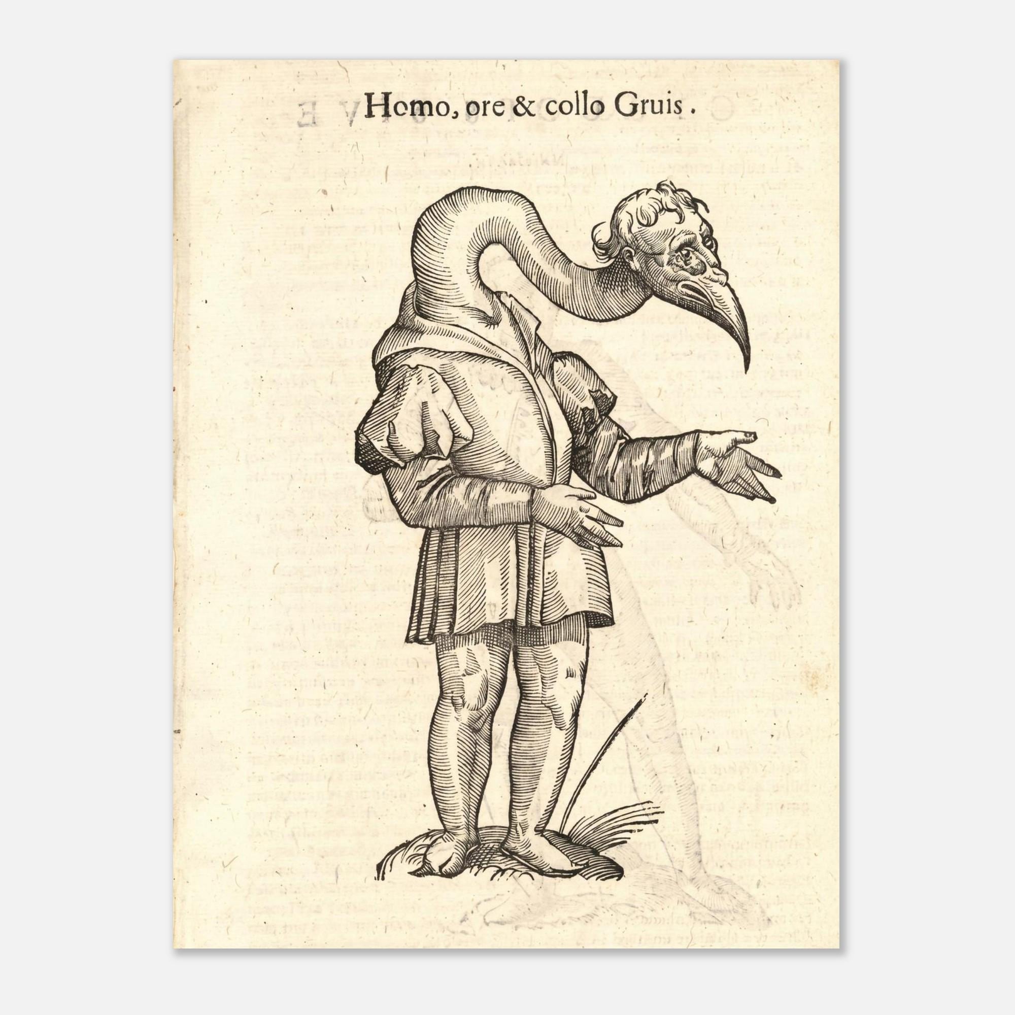 Vintage Monster Woodcut Print Myth Symbolism Renaissance Creature Poster Antique Bird Man Illustration Dark Academia Wall Art