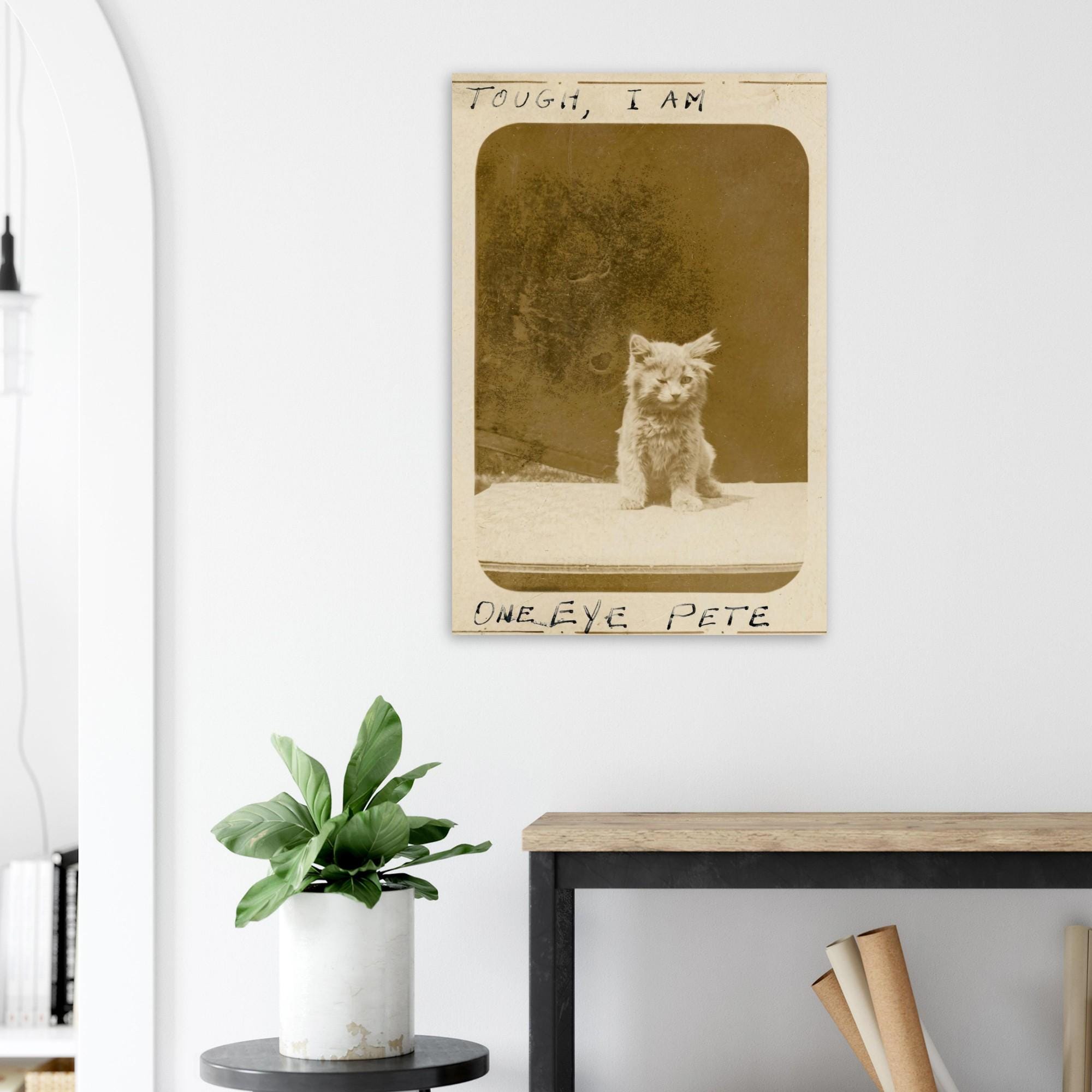 One Eye Pete Vintage Cat Print | Tough I Am Antique Kitten Photo | Funny 1890s Pet Wall Art | Quirky Animal Photography Decor