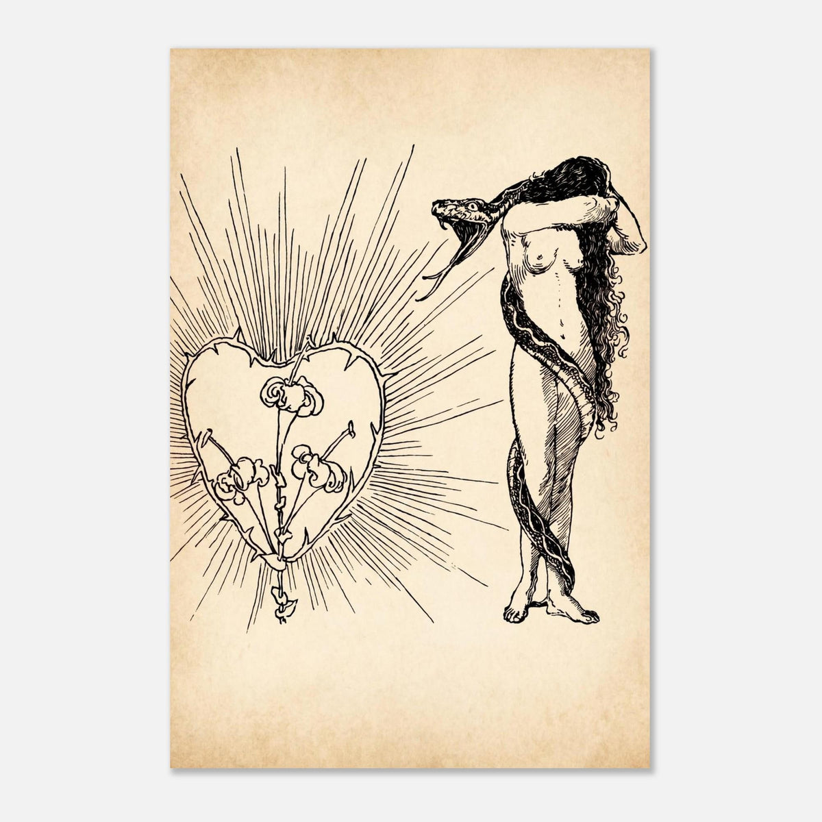 Alexander Frenz Art Nouveau Woman with Snake Print | Vintage Jugendstil Wall Art | Symbolist Heart Thorns Illustration Wall Decor