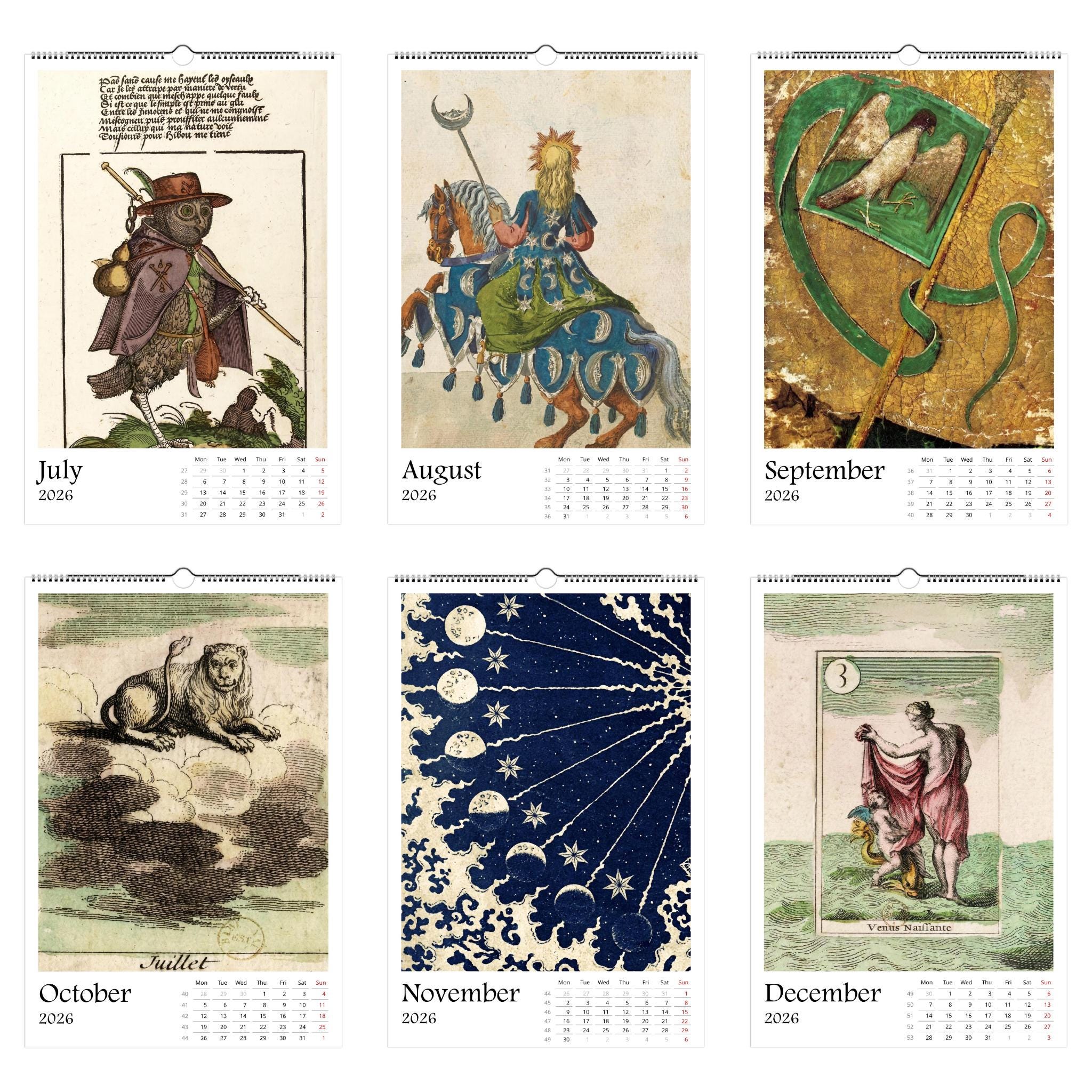 Medieval Marginalia 2026 Art Calendar 11x16.5, Gothic Art, Bizarre Creature, Dark Academia, Weird Medieval, Art Lover Gift