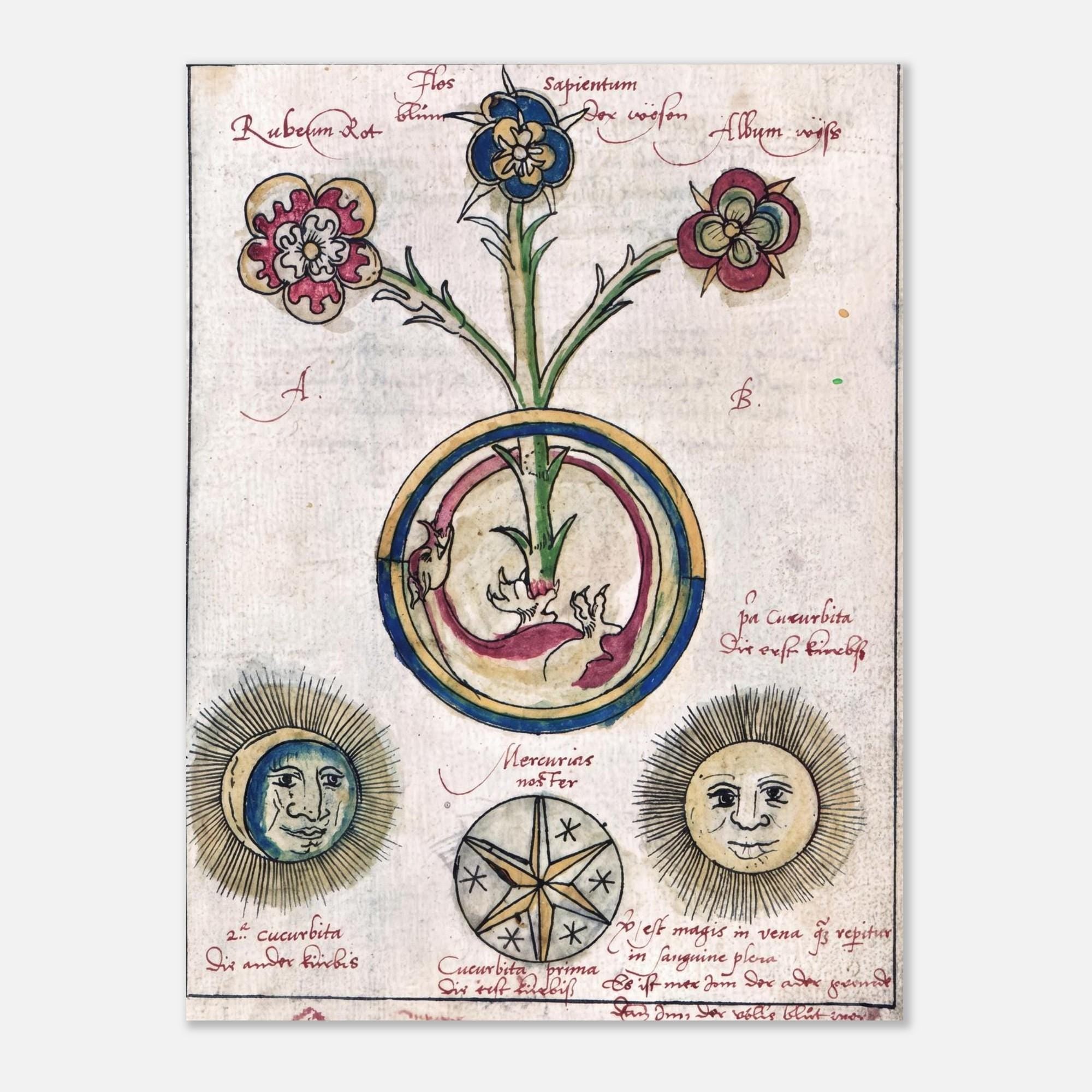 Vintage Alchemical Manuscript Art Print Antique Occult Alchemy Diagram Wall Decor Hermetic Symbolism Poster Artwork Myth And Symbolism