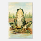 Antique Frog Biological Atlas Print, 1881 Scientific Toad Illustration, Vintage Nature Art, School Room Poster, Animals & Creatures 25cda