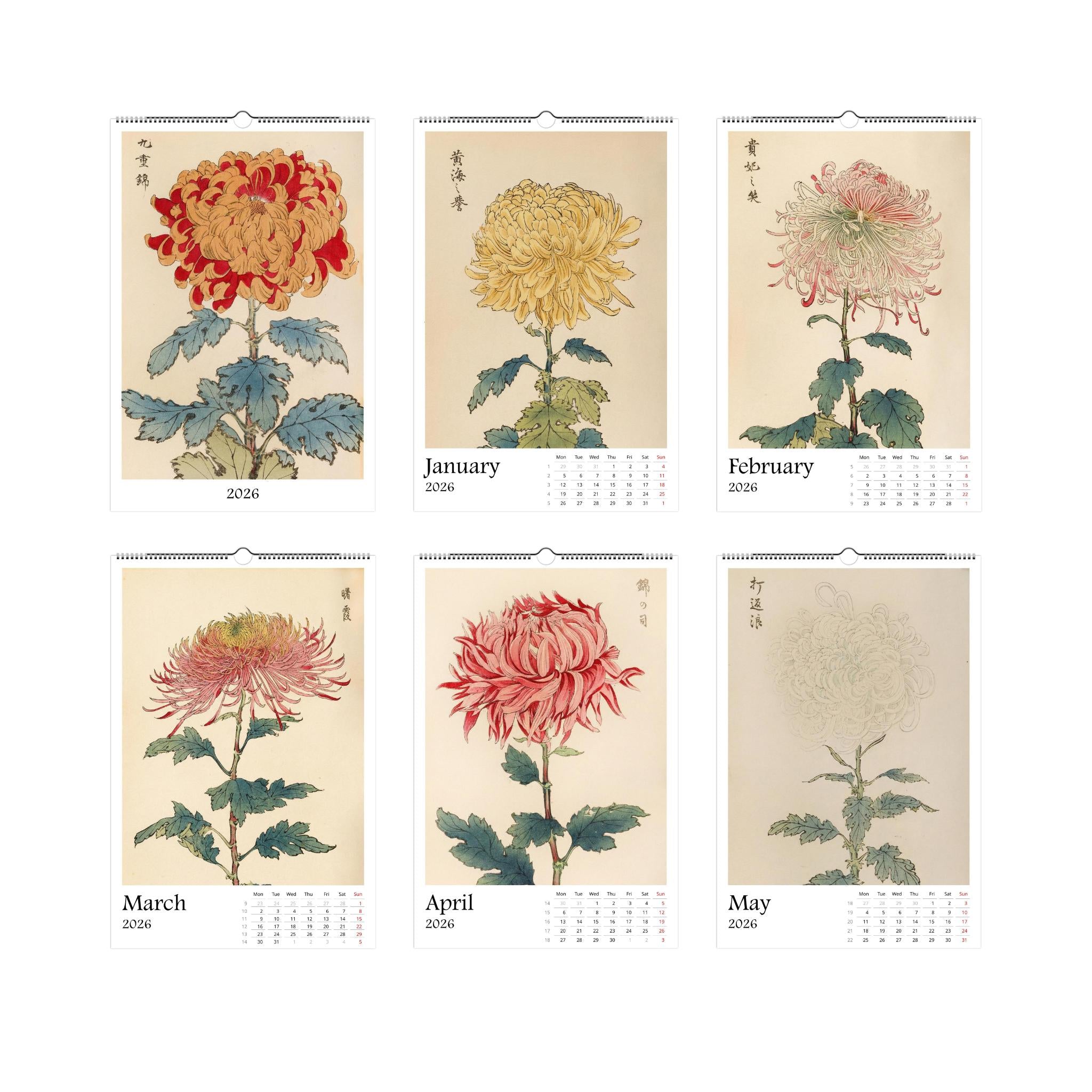 13 Artworks Of Vintage Botanical 2026 Wall Calendar 11x16.5, Keika Hasegawa, Japandi Floral Vibe, Plant Mom New Year Gift