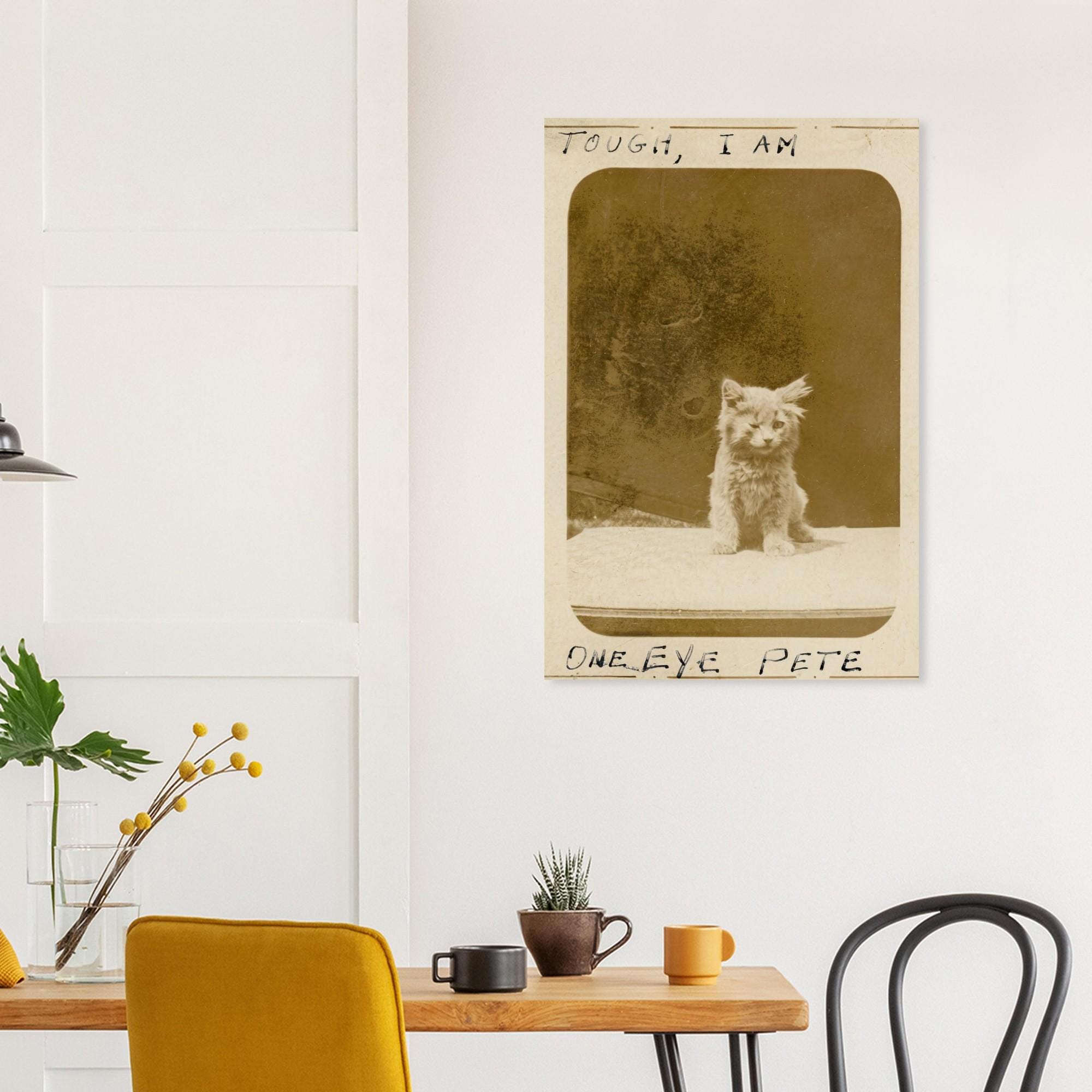 One Eye Pete Vintage Cat Print | Tough I Am Antique Kitten Photo | Funny 1890s Pet Wall Art | Quirky Animal Photography Decor