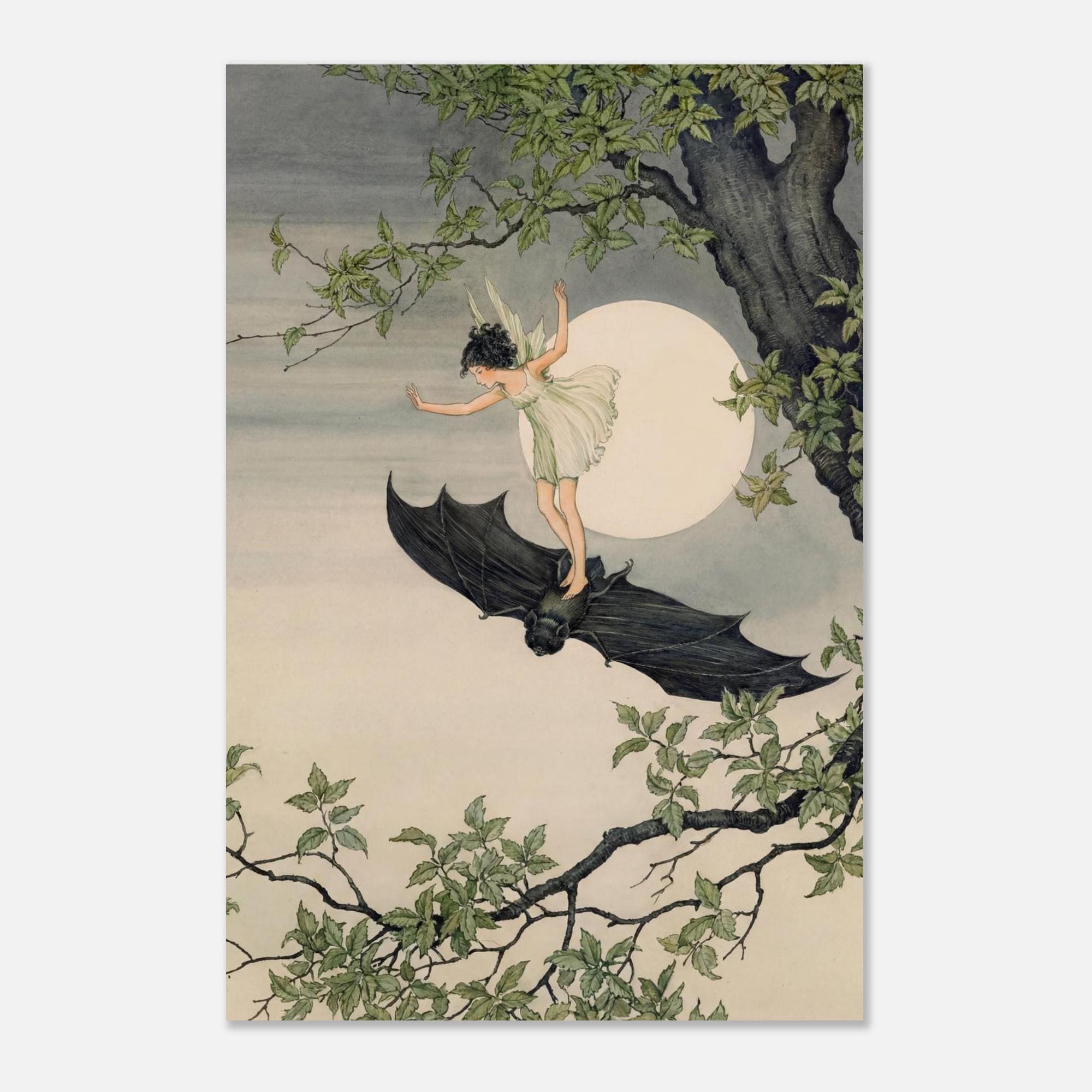 The Fairy On A Bat By Ida Rentoul Outhwaite, Fairy Tale Wall Art, Vintage Fairy, Magical Whimsical, Bat Art Print, Night Wall Art