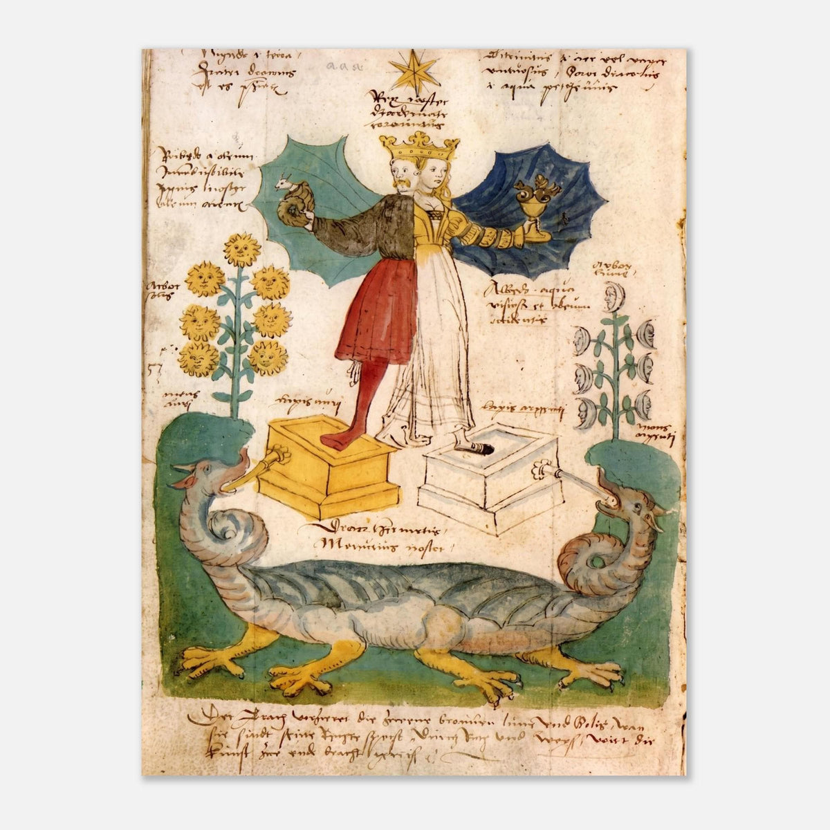 Ancient Medieval Alchemical Rebis Art Print Vintage Occult Manuscript Poster Two Headed Hermaphrodite Dragon Wall Decor Myth Symbolism