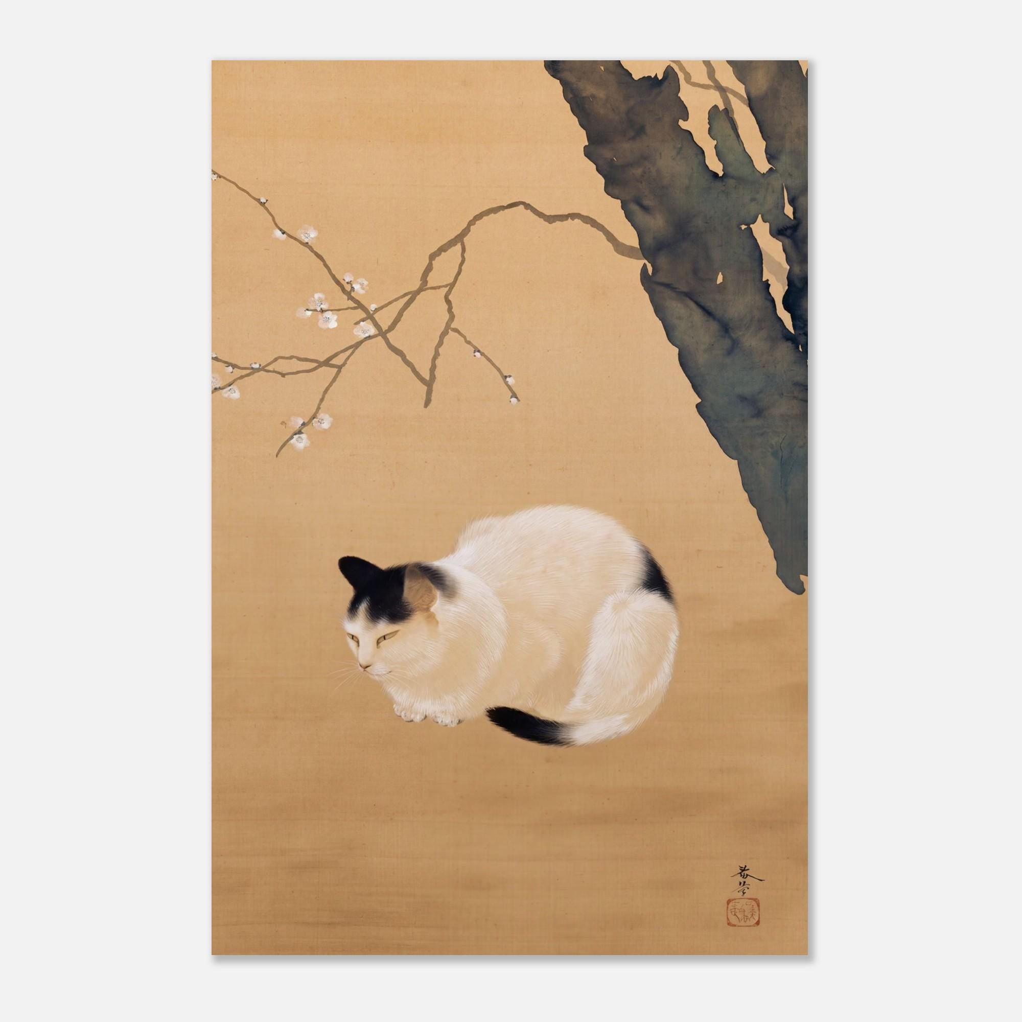Hishida Shunso Japanese Cat Art Print Cat and Plum Blossoms Vintage Nihonga Wall Decor Sleeping Kitten Woodblock Asian Art