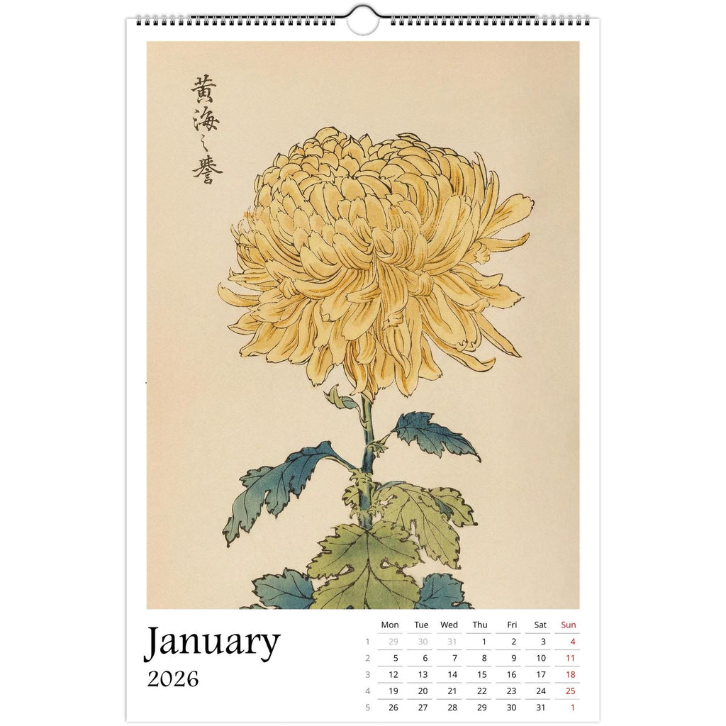 13 Artworks Of Vintage Botanical 2026 Wall Calendar 11x16.5, Keika Hasegawa, Japandi Floral Vibe, Plant Mom New Year Gift