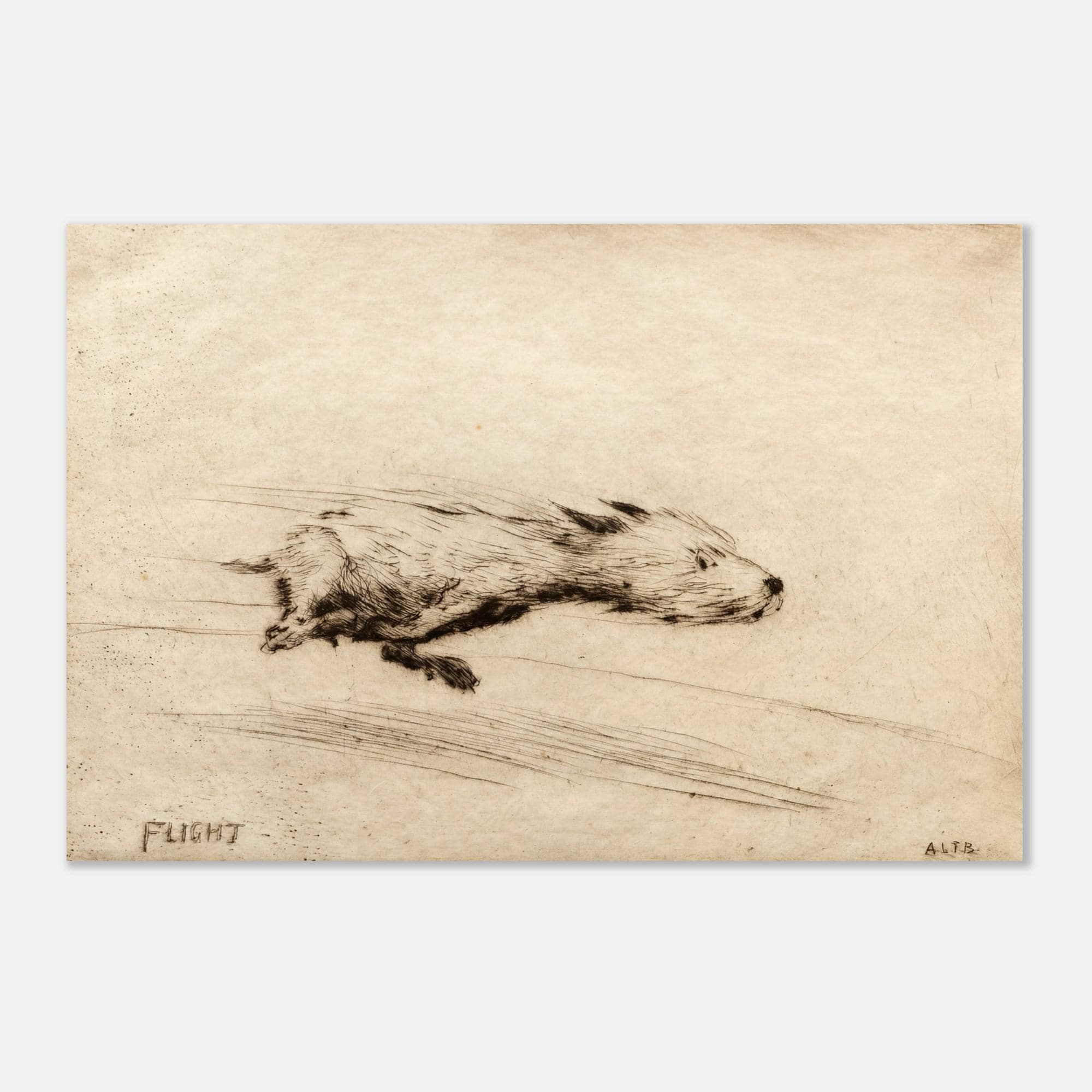 Vintage Running Dog Sketch Minimalist Antique Puppy Etching Fine Art Print Energetic Zoomies Wall Decor Animals & Creatures dbjhd
