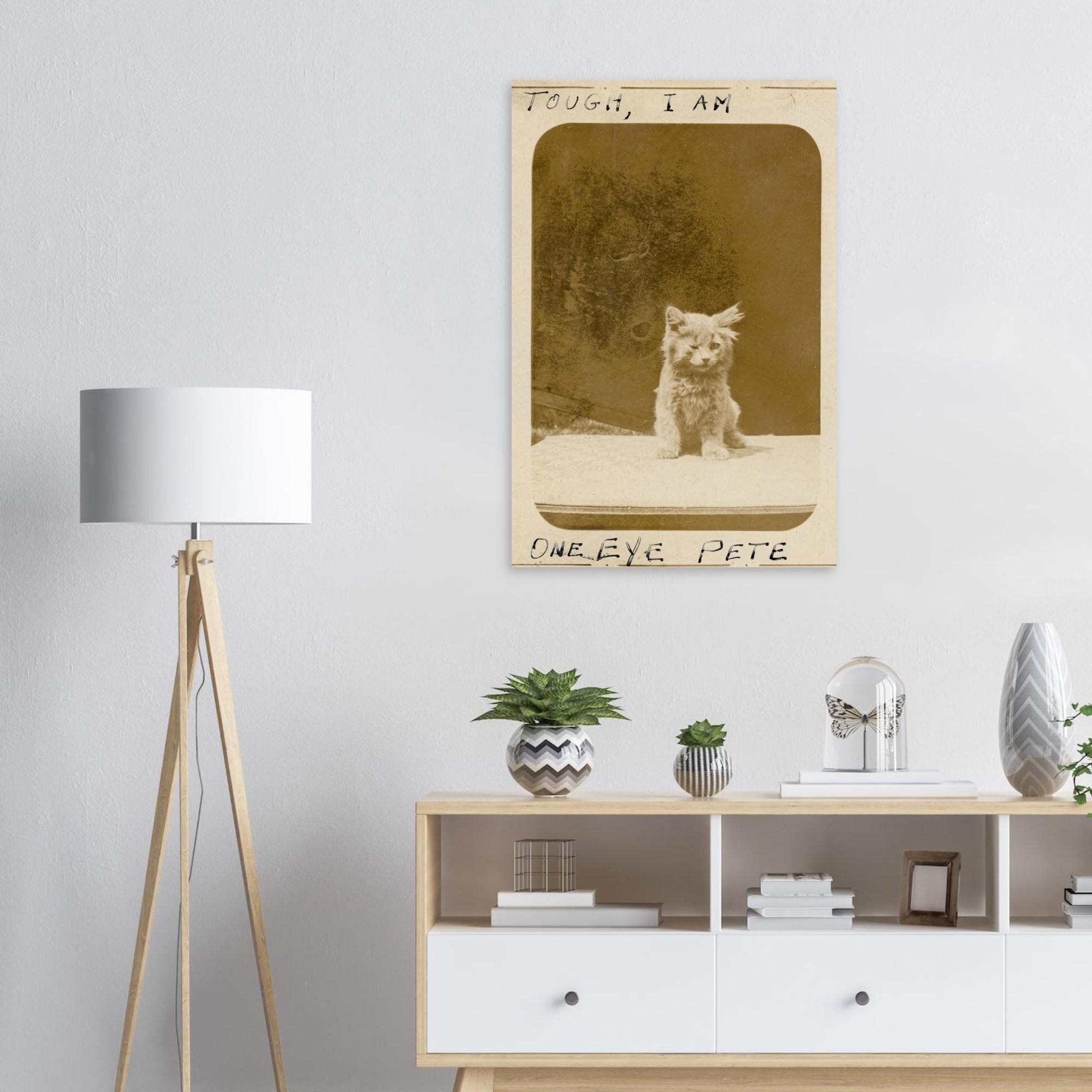 One Eye Pete Vintage Cat Print | Tough I Am Antique Kitten Photo | Funny 1890s Pet Wall Art | Quirky Animal Photography Decor