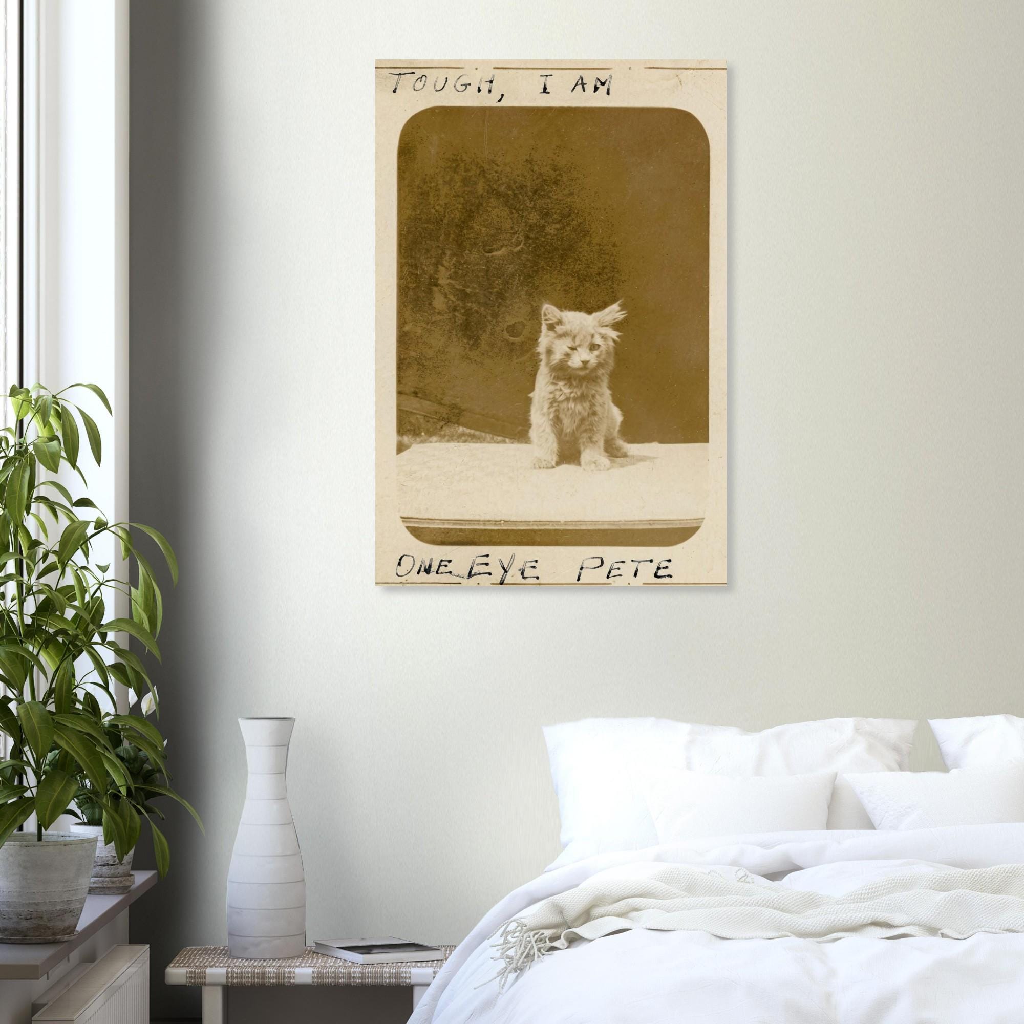 One Eye Pete Vintage Cat Print | Tough I Am Antique Kitten Photo | Funny 1890s Pet Wall Art | Quirky Animal Photography Decor