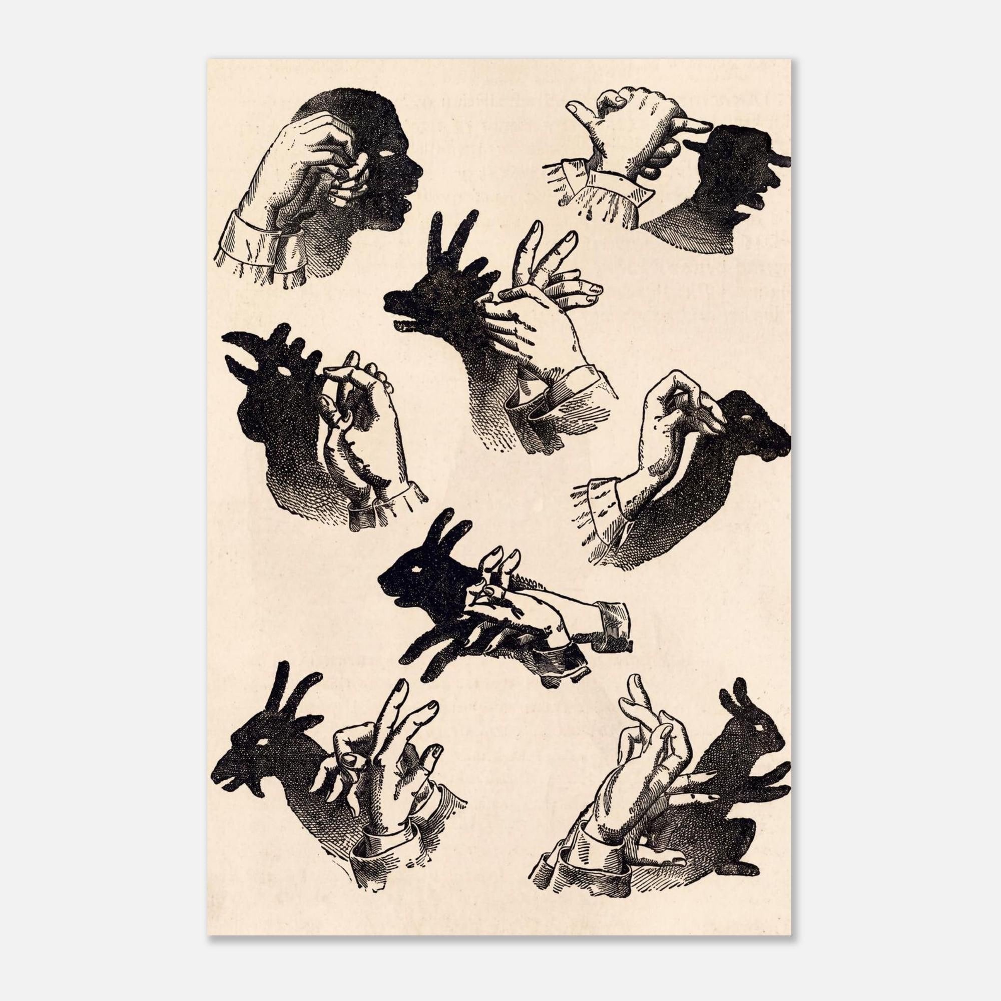 Vintage Hand Shadow Puppet Art Print Victorian Shadowgraphy Illustration Antique Oddities Wall Decor Dark Academia Animals Creatures