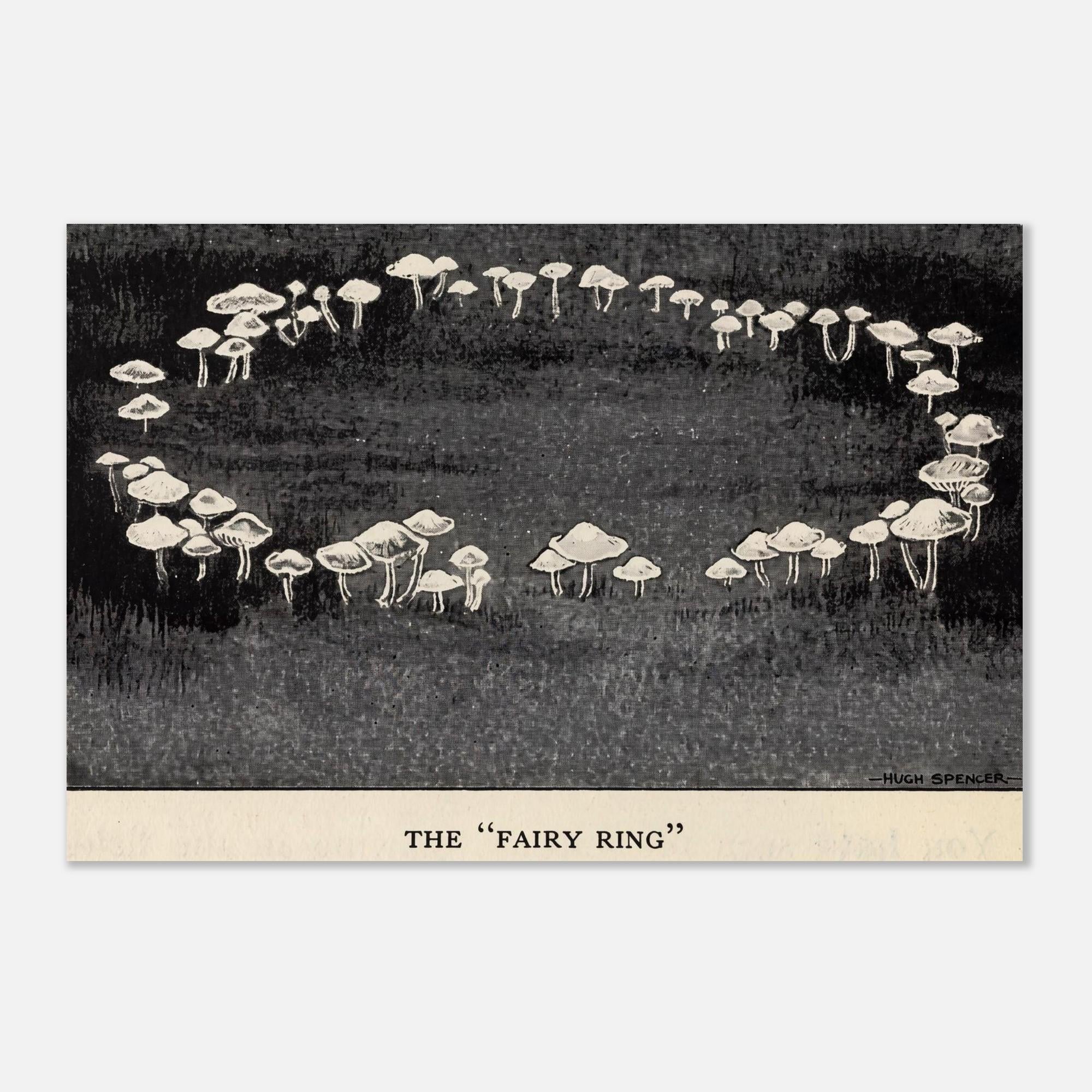 Vintage Fairy Ring Mushroom Art Print Hugh Spencer Antique Fungi Illustration Cottagecore Wall Decor Dark Academia Botanical And Nature