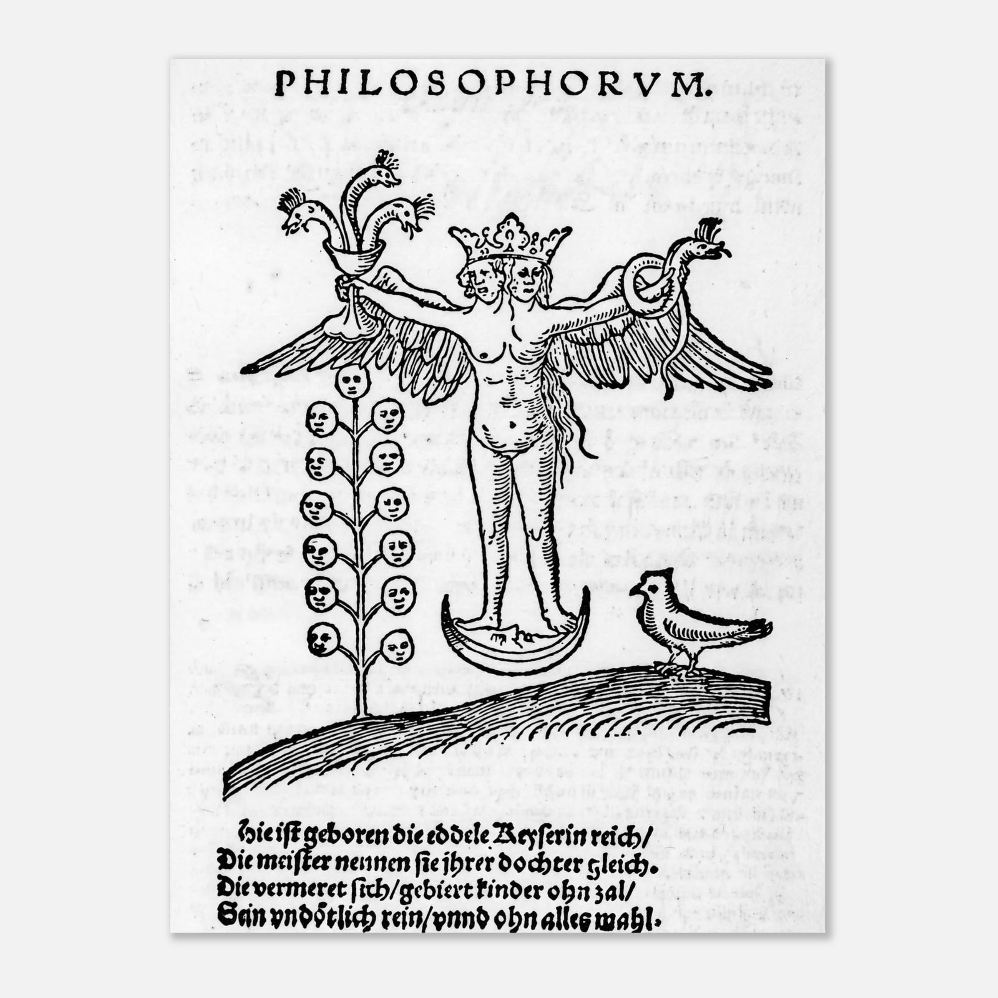 Vintage Alchemy Rebis Art Print Rosarium Philosophorum Occult Hermetic Wall Decor Mystic Alchemy Woodcut Print Myth And Symbolism