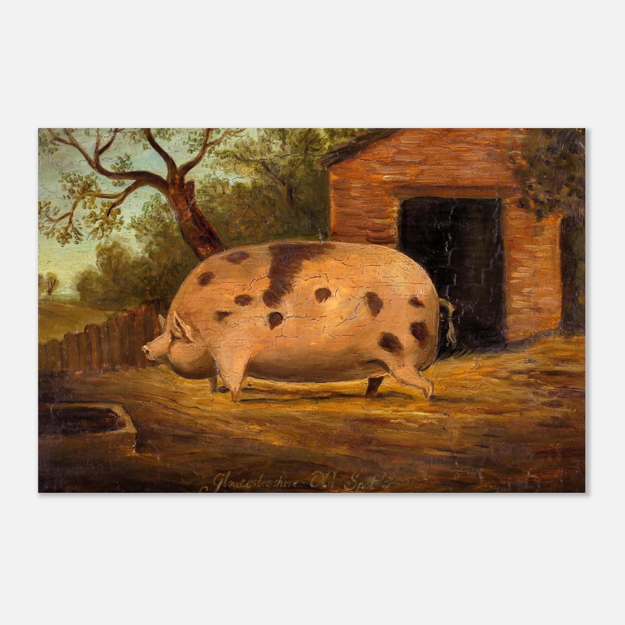Vintage Pig Painting, Gloucestershire Old Spot Folk Art Print, Antique Farmhouse Wall Decor, Rustic Animal Portrait Poster