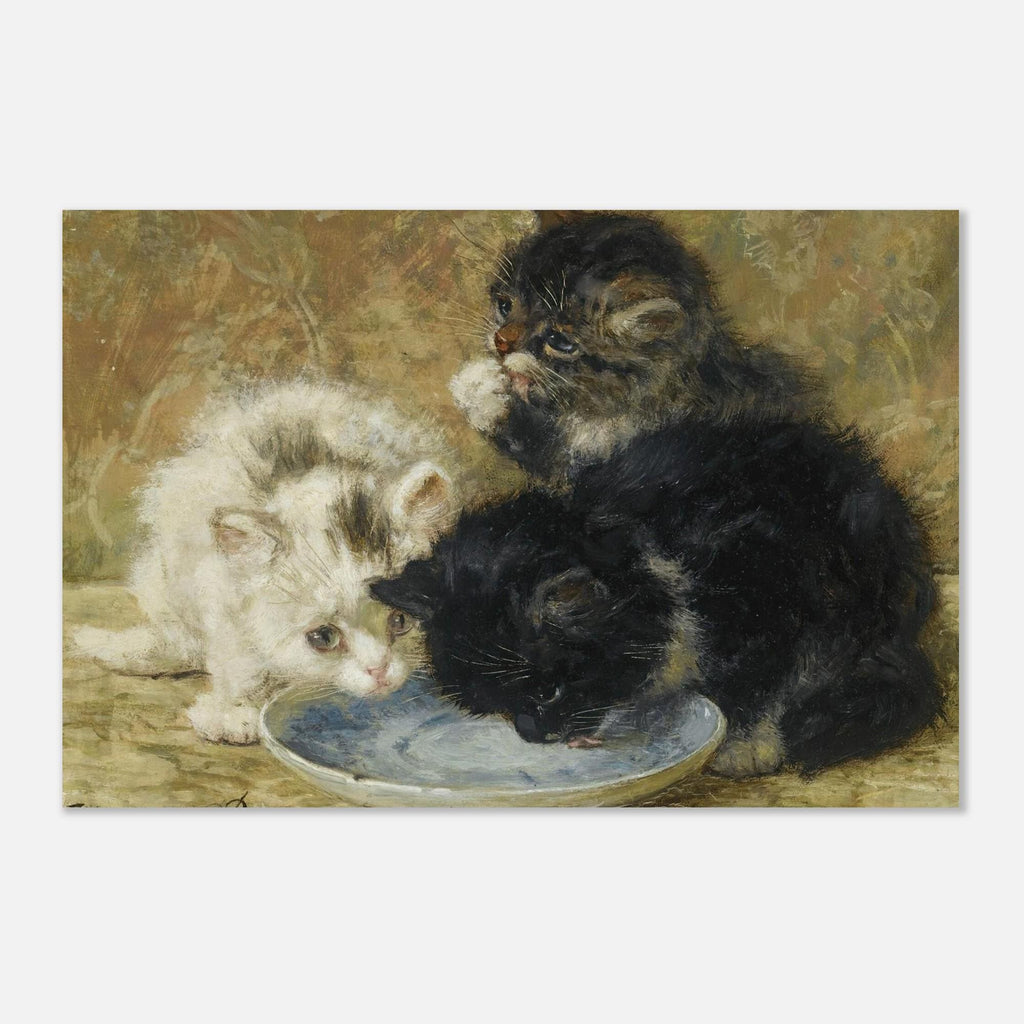 Vintage Kitten Painting Henriette Ronner Knip Three Kittens Drinking Milk Antique Victorian Cat Art Print Animals Creatures