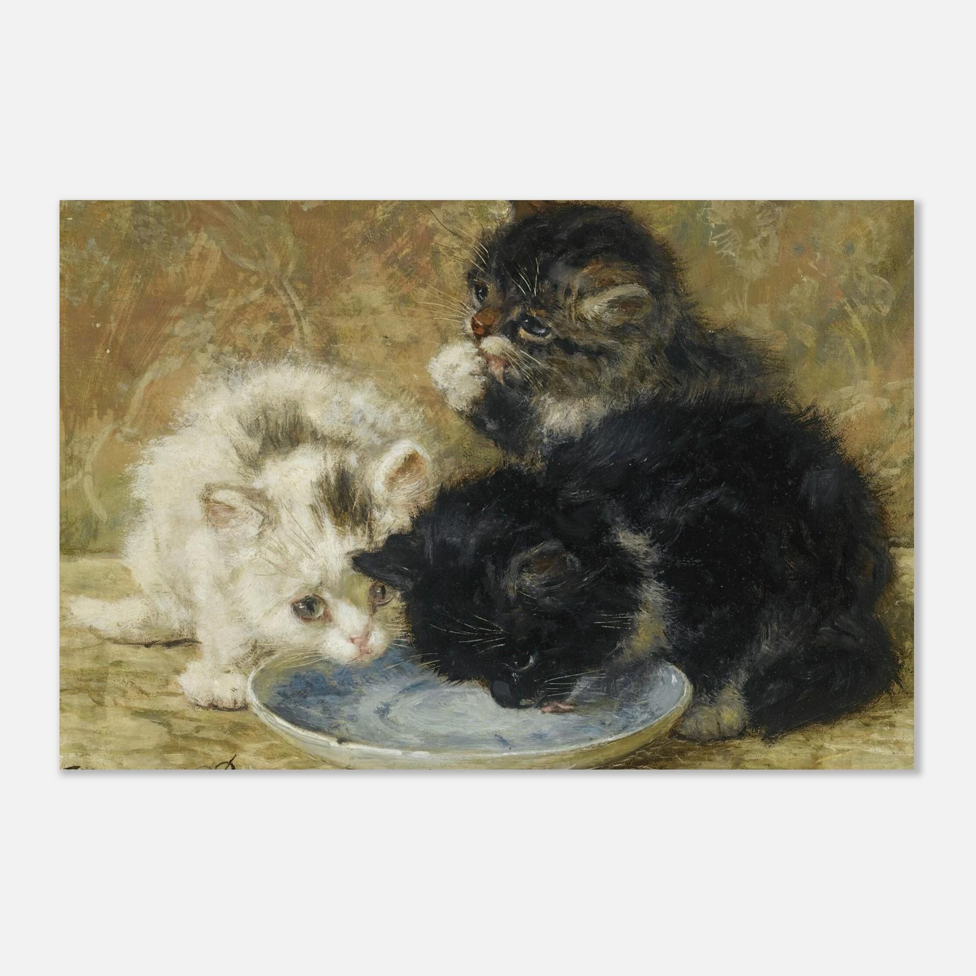 Vintage Kitten Painting Henriette Ronner Knip Three Kittens Drinking Milk Antique Victorian Cat Art Print Animals Creatures