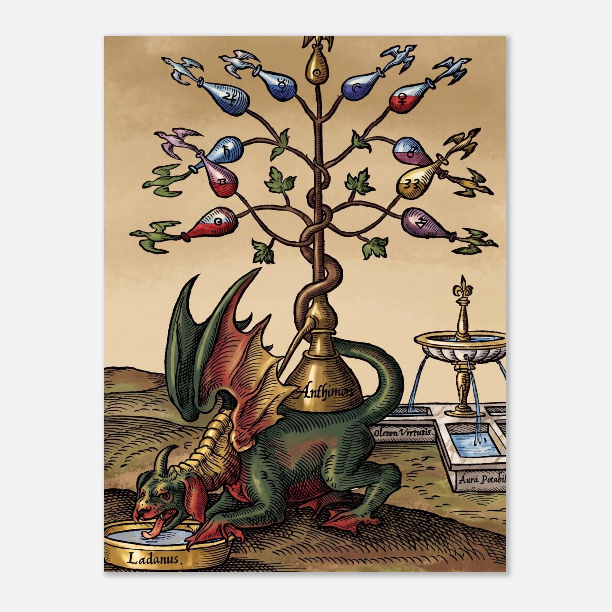 Vintage Alchemical Dragon Art Print Occult Tree of Life Woodcut Illustration Alchemy Distillation Poster Myth Symbolism