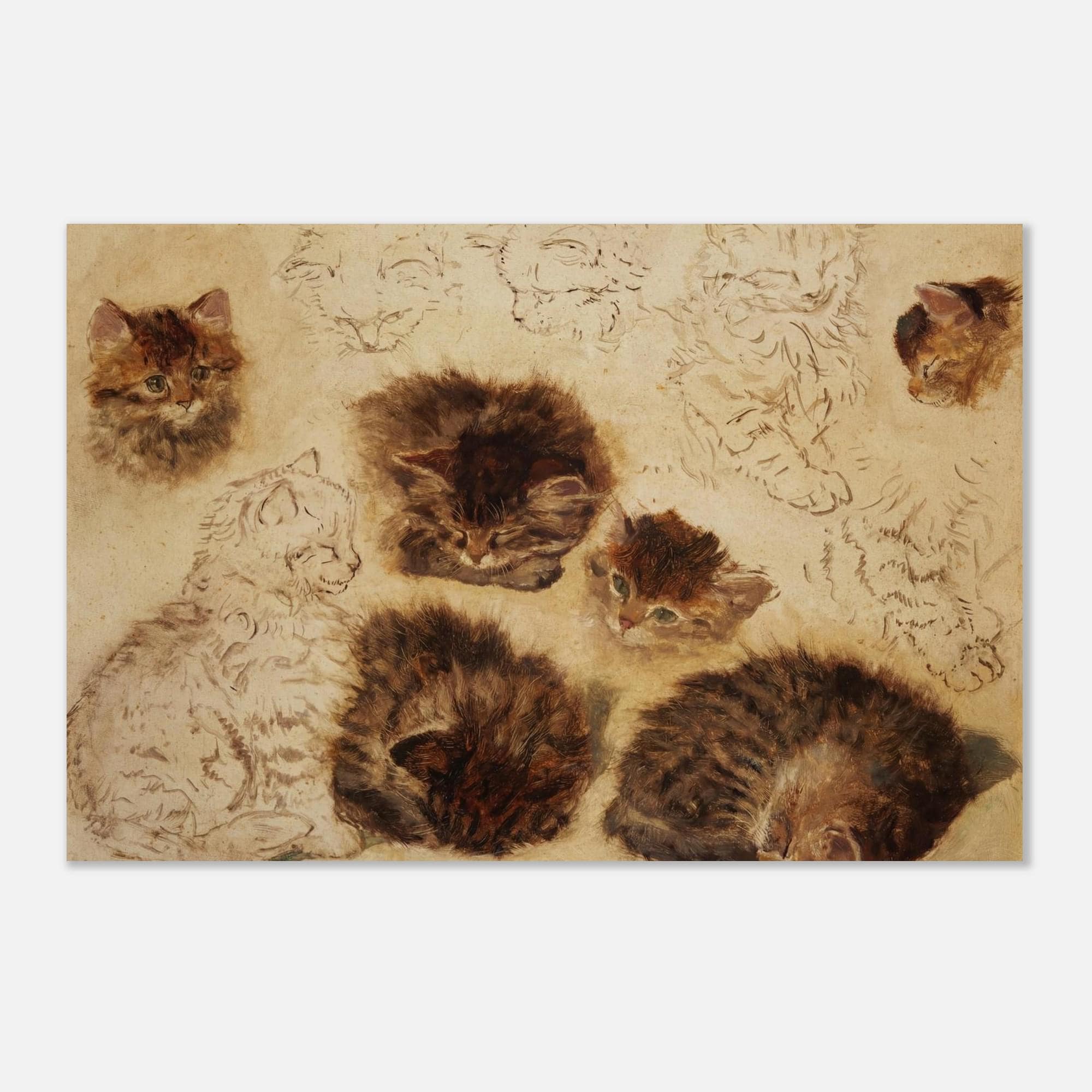Vintage Kitten Studies Art Print Antique Cat Sketch Henriette Ronner Knip Painting Classic Feline Wall Art Animals Creatures