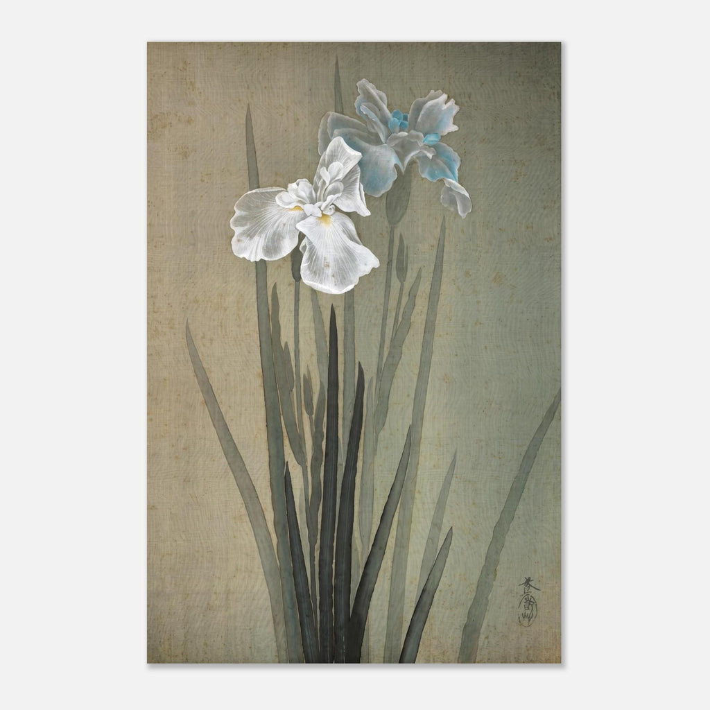 Vintage Japanese Iris Painting Sakai Doitsu Blue White Floral Wall Art Zen Botanical Antique Silk Print Woodblock Asian Art