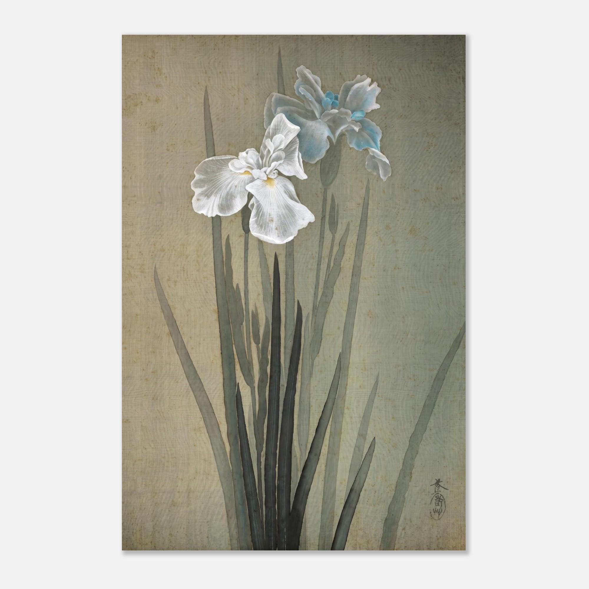 Vintage Japanese Iris Painting Sakai Doitsu Blue White Floral Wall Art Zen Botanical Antique Silk Print Woodblock Asian Art