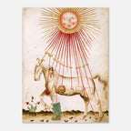 Medieval Horse Print Astrology Manuscript Sun Celestial Wall Art Antique Animal Print Canvas Decor Poster Weird Medieval Art