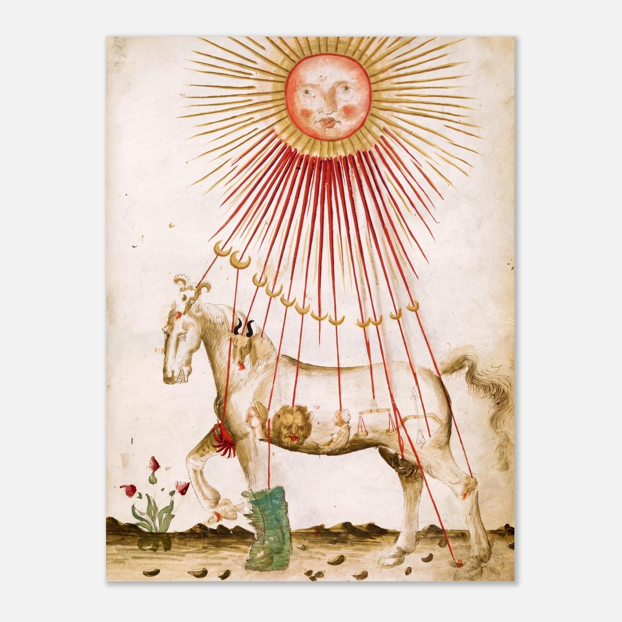 Medieval Horse Print Astrology Manuscript Sun Celestial Wall Art Antique Animal Print Canvas Decor Poster Weird Medieval Art