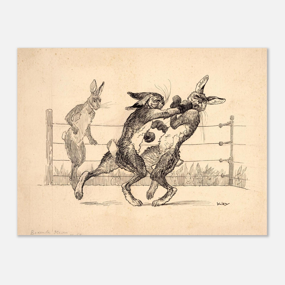 Vintage Boxing Hares Print Funny Animal Illustration Antique Rabbit Art Wall Decor Retro Anthropomorphic Illustration Anthropomorphic