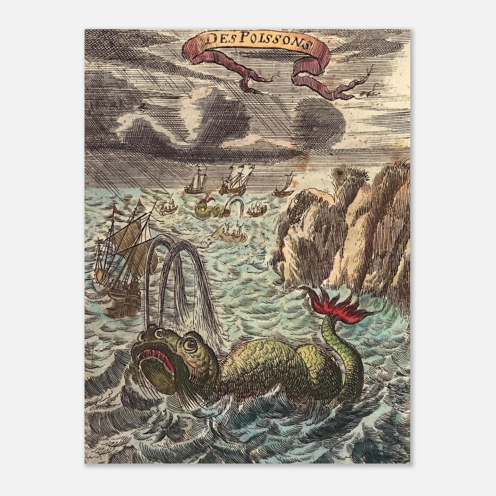 Vintage Sea Monster Art Print Antique Sea Serpent Illustration Weird Medieval Art Print Historic Ocean Print Oddities Vintage Animal